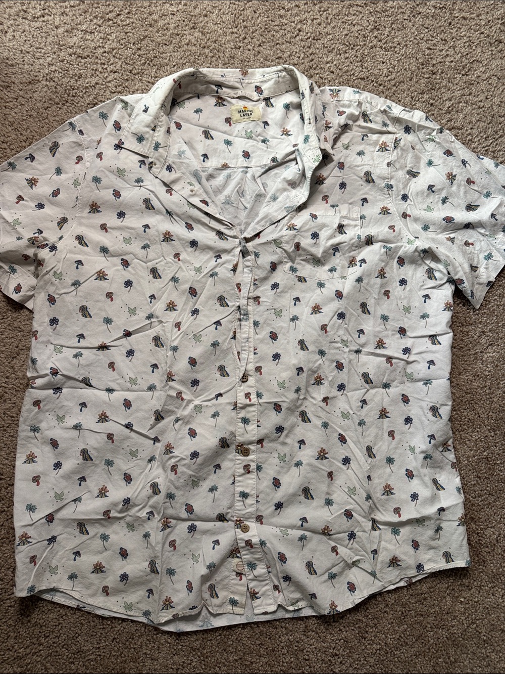 Marine Layer Button Up